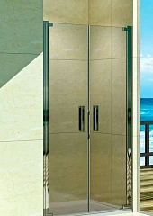 Душевая дверь в нишу WeltWasser WW600 600K2-100 100*185 с поддоном 100*100*3,5