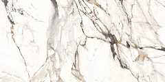 Керамогранит Global Tile Calcutta Paonazzo GT120603603PR 60*120 полированный ректификат