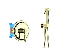 Гигиенический душ со смесителем Классик AQ1519PG скрытый монтаж глянцевое золото