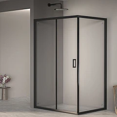 Душевой уголок RGW Passage PA-245-B 100*90*190 профиль черный матовый без поддона