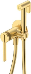 Гигиенический душ со смесителем DQ Bonn DA1704507 скрытый монтаж брашированное золото