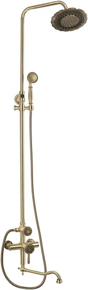 Душевая стойка Bronze DE Luxe Windsor 10120DDF двойной цветок с длинным изливом